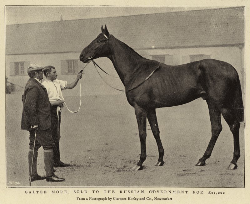 Galtee More, vendido ao governo russo por £ 21.000 de English Photographer