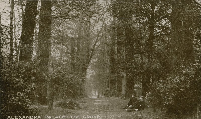 Vista geral do bosque no Alexandra Palace de English Photographer
