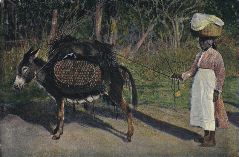 Going to Market, Jamaica (foto colorida) de English Photographer