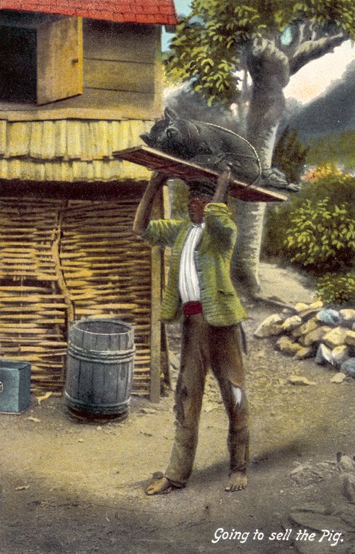 Vai vender o porco, Jamaica (foto colorida) de English Photographer