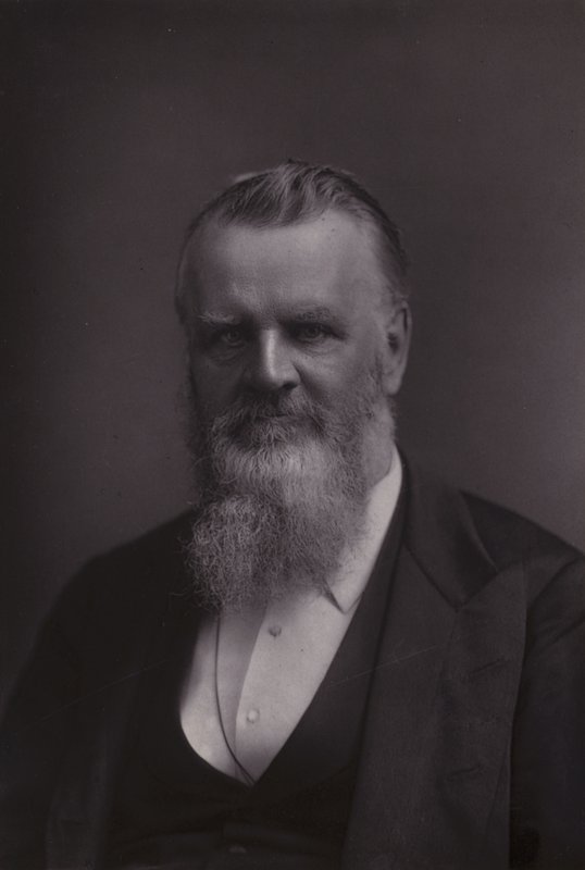 Henry Morley, professor de literatura inglesa de English Photographer