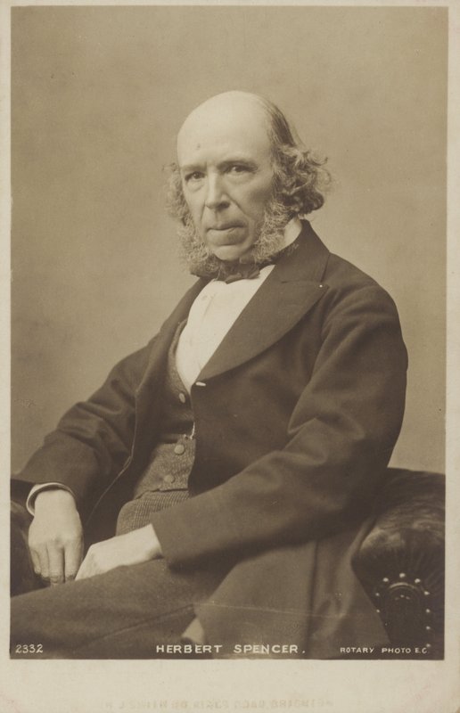 Herbert Spencer (1820-1903), filósofo inglês, teórico político, biólogo e sociólogo de English Photographer