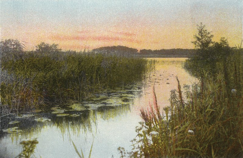 Hoveton Broad de English Photographer