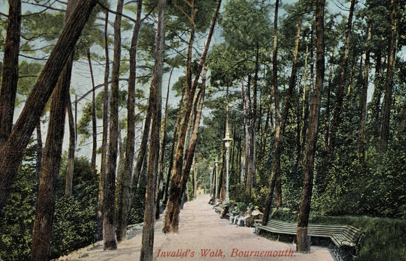 Caminhada dos Inválidos, Bournemouth (foto) de English Photographer