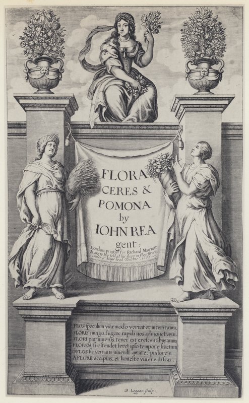 J Rea, Flora, Ceres, e Pomona, R Marriott 1665 (foto a p/b) de English Photographer