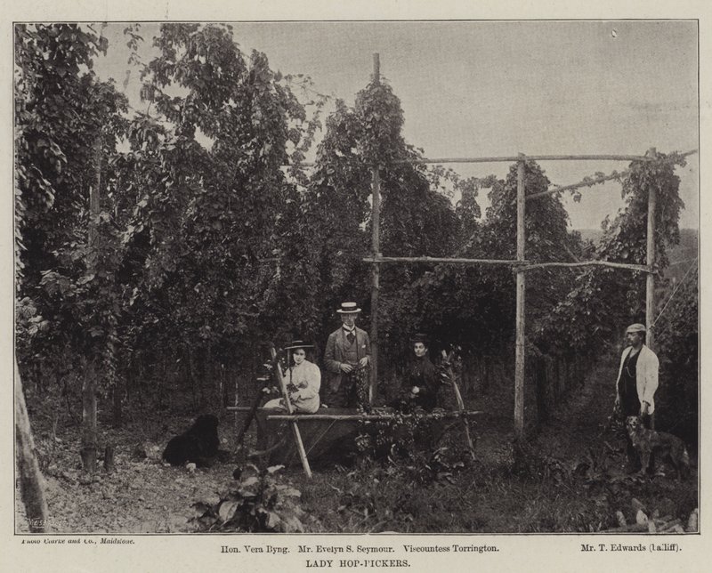 Lady Hop-Pickers de English Photographer