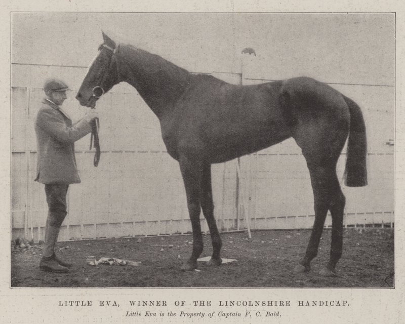 Eva pequena, vencedora do Lincolnshire Handicap de English Photographer
