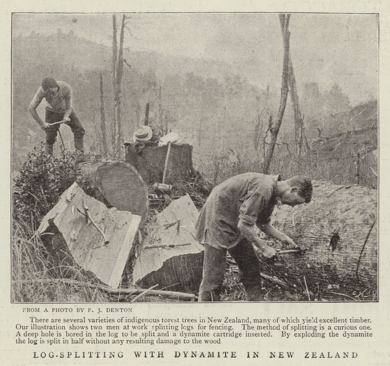 Log-Splitting com dinamite na Nova Zelândia de English Photographer