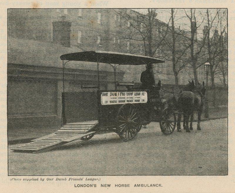 Ambulância de cavalo nova de Londres de English Photographer