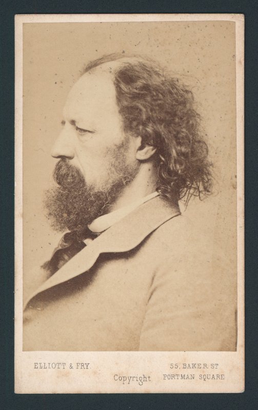 Senhor Tennyson Cartão De Visitas de English Photographer