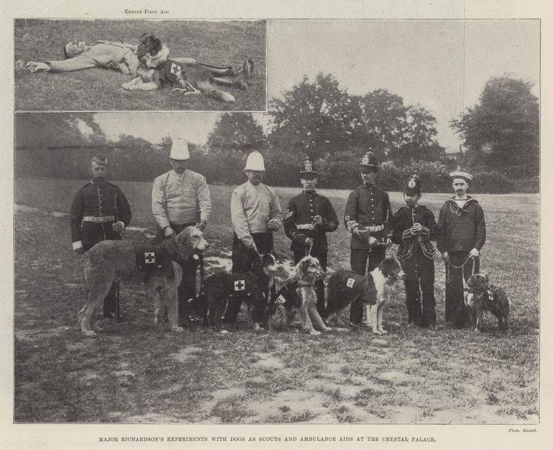Experiências Major Richardsons com cães como escuteiros e ajudas de ambulância no Crystal Palace de English Photographer