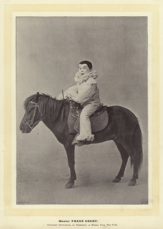 Mestre Franz Ebert de English Photographer