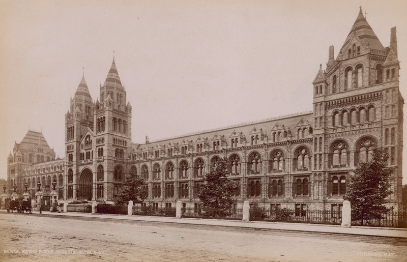 Museu de História Natural, South Kensington, Londres de English Photographer