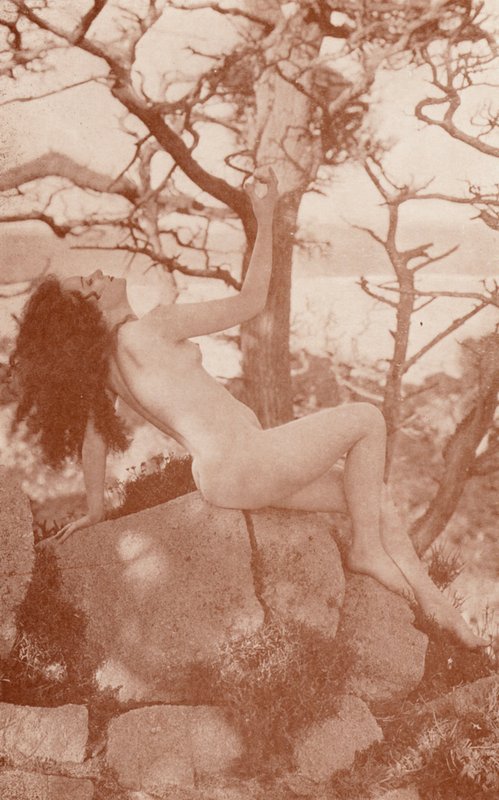 Arte nudista: Tanglewood (fotografia a preto e branco) de English Photographer