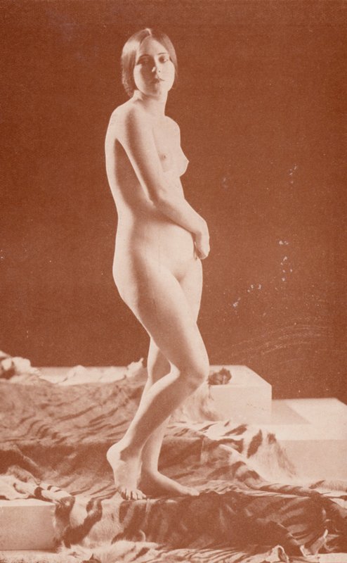 Arte nudista: Dama Tigre (foto p/b) de English Photographer