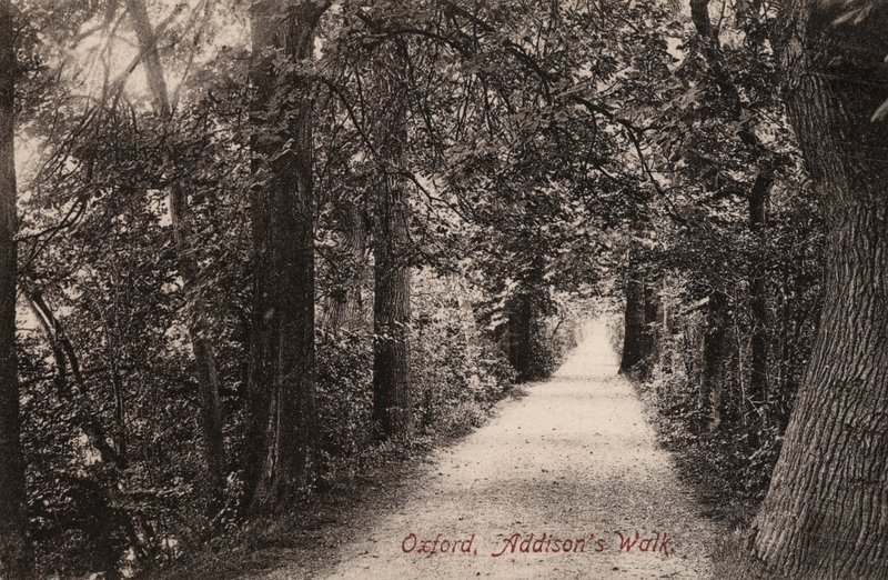 Oxford, Addisons Walk (foto a p/b) de English Photographer