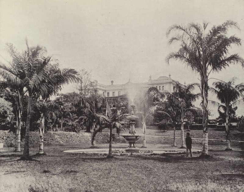 Palmas e Fonte, Jardim Botânico, Brisbane de English Photographer
