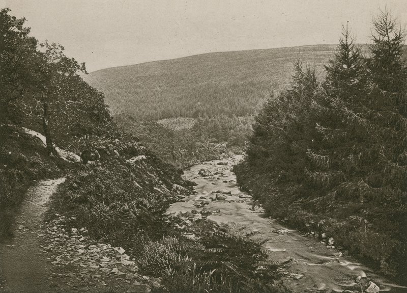 Caminho pela Bagworthy Water, Doone Valley de English Photographer