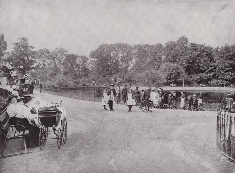 Peckham Park de English Photographer
