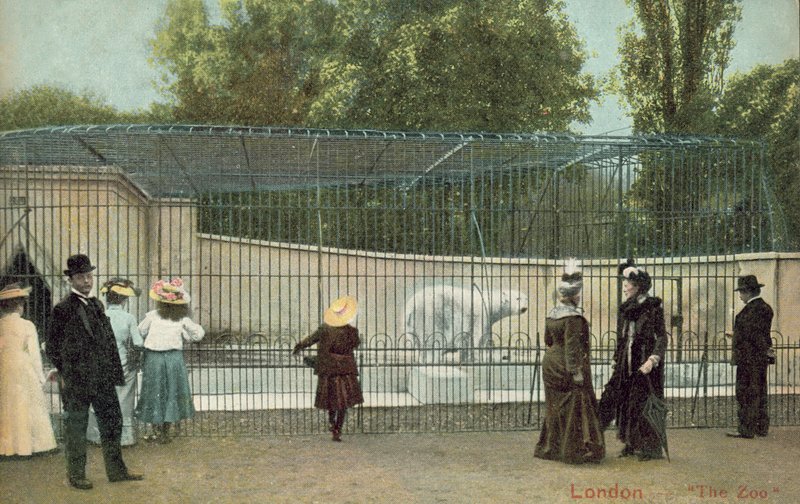 Pessoas que visitam o recinto do urso polar no Jardim Zoológico de Londres (foto) de English Photographer