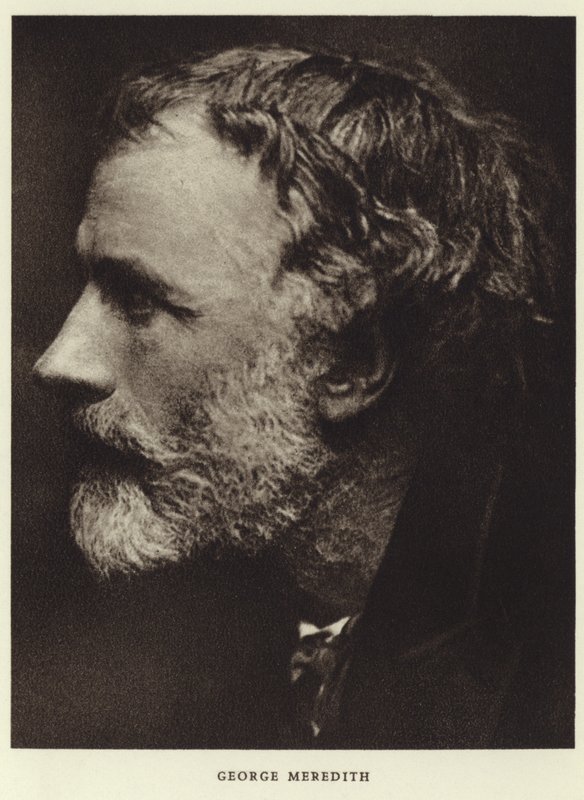 Retrato de George Meredith de English Photographer