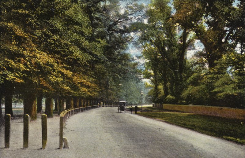 Queens Road, as costas de English Photographer