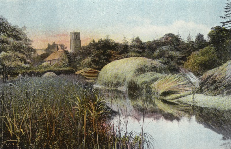 Reed Staithe, Ranworth de English Photographer