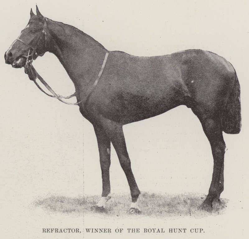 Refrator, vencedor do Royal Hunt Cup de English Photographer