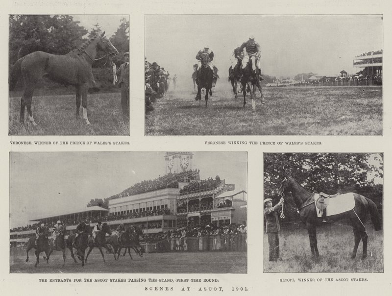Cenas em Ascot, 1901 de English Photographer
