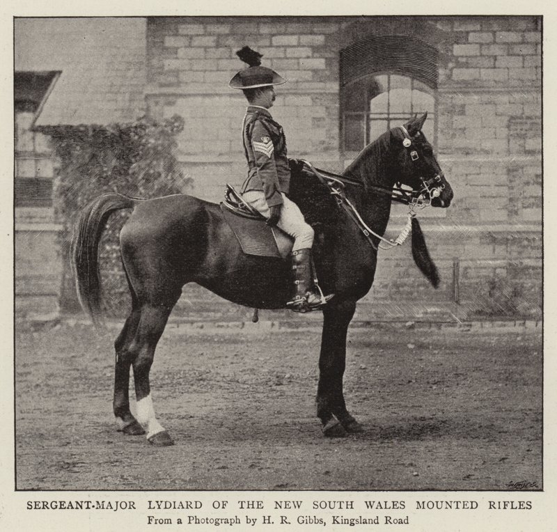 Sargento-Major Lydiard dos Fuzis Montados de New South Wales de English Photographer