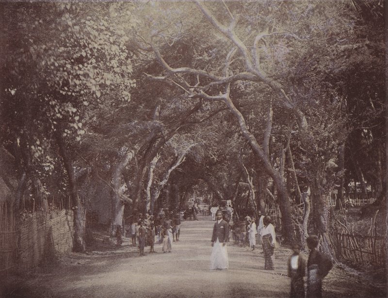Skinners Road, Colombo (foto colorida) de English Photographer