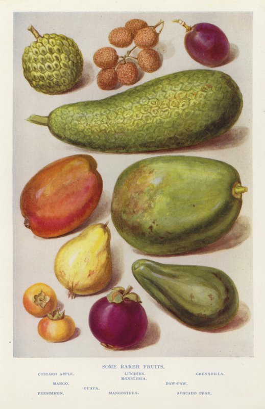 Algumas frutas mais raras (foto) de English Photographer