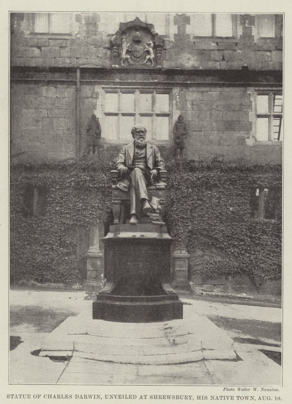 Estátua de Charles Darwin, inaugurada em Shrewsbury, sua cidade natal, 10 de agosto de English Photographer