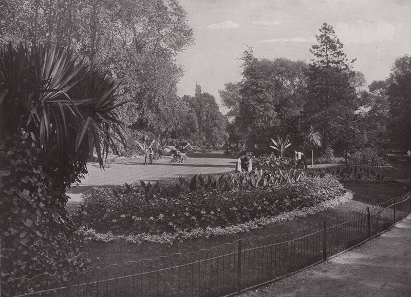 Jardins subtropicais, Battersea Park de English Photographer