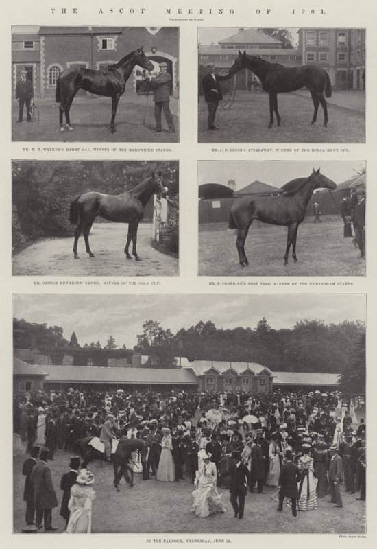 O encontro de Ascot de 1901 de English Photographer