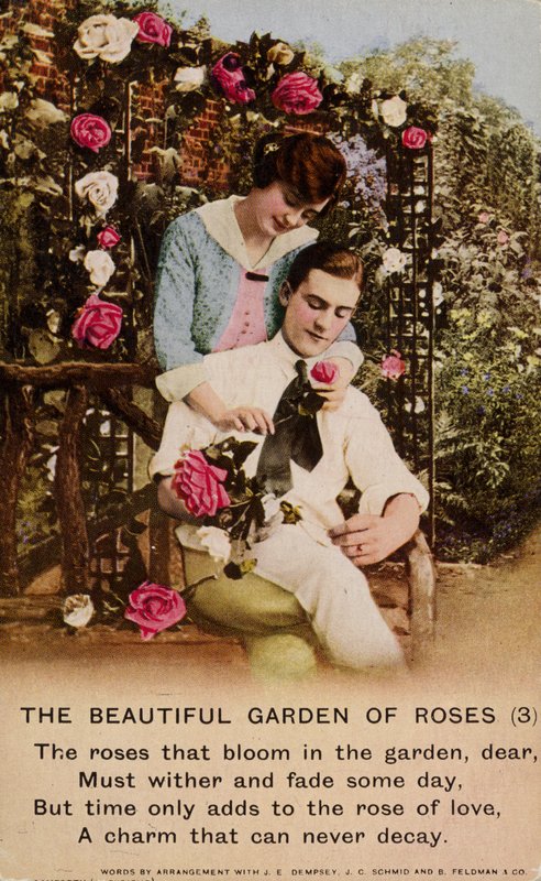O belo jardim de rosas de English Photographer