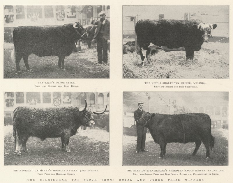 The Birmingham Fat Stock Show, Royal e outros vencedores do prêmio de English Photographer