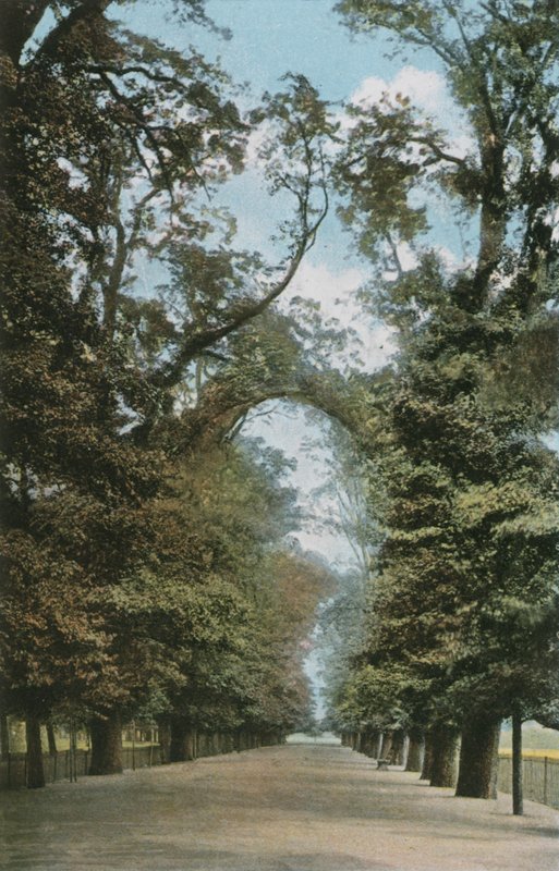 The Broad Walk de English Photographer