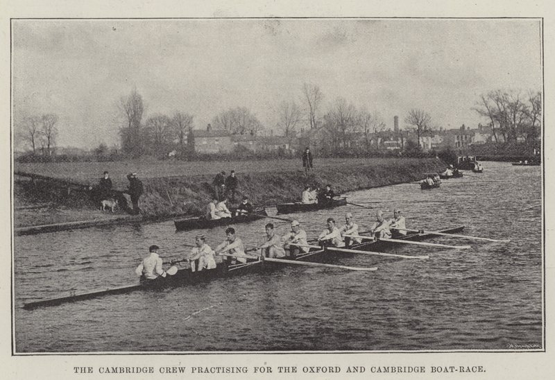 A tripulação de Cambridge praticando para a corrida de barcos de Oxford e Cambridge de English Photographer