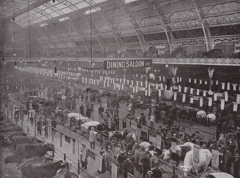 The Cattle Show, Royal Agricultural Hall de English Photographer