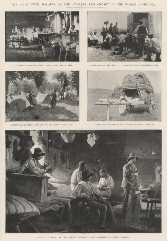 A luta contra a malária pela Cruz Vermelha Italiana na Campagna Romana de English Photographer