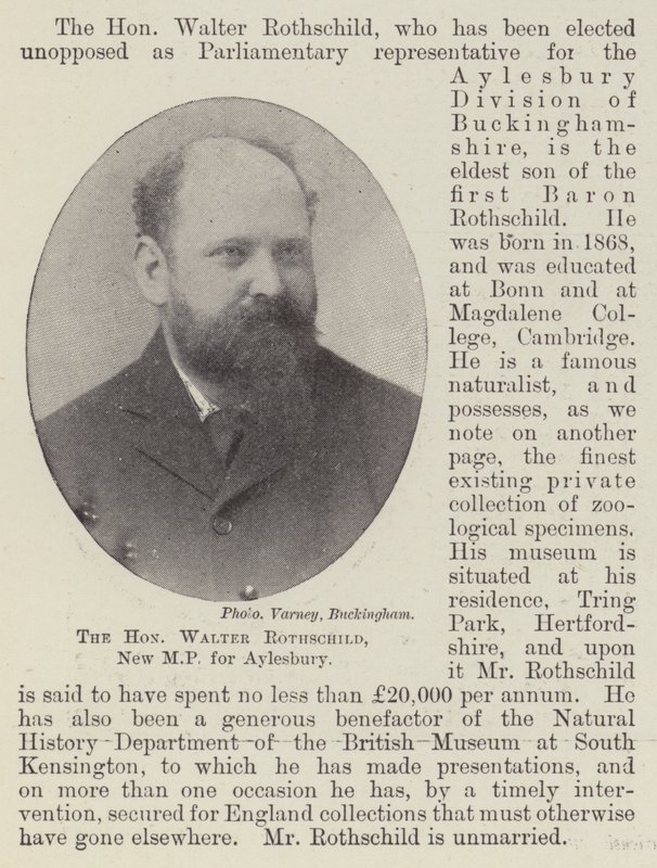 O honorável Walter Rothschild, novo deputado por Aylesbury de English Photographer