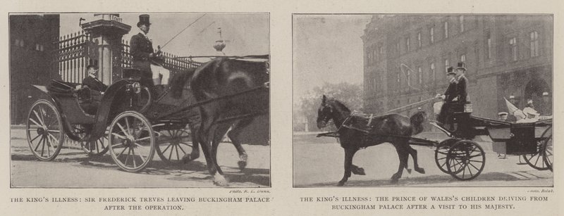 The Kings Illness de English Photographer