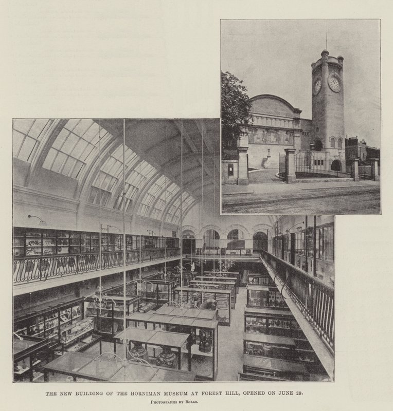 O novo edifício do Museu Horniman em Forest Hill, inaugurado em 29 de junho de English Photographer