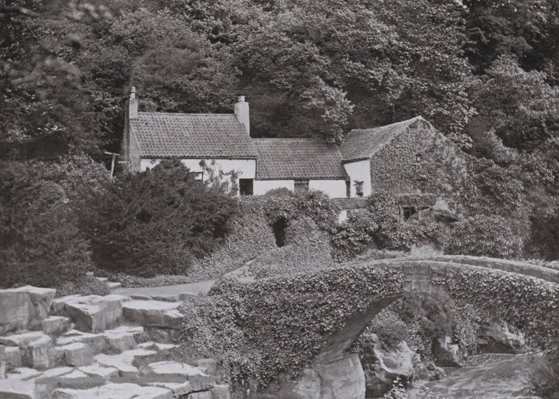 O Velho Moinho, Jesmond Dene (foto a p/b) de English Photographer
