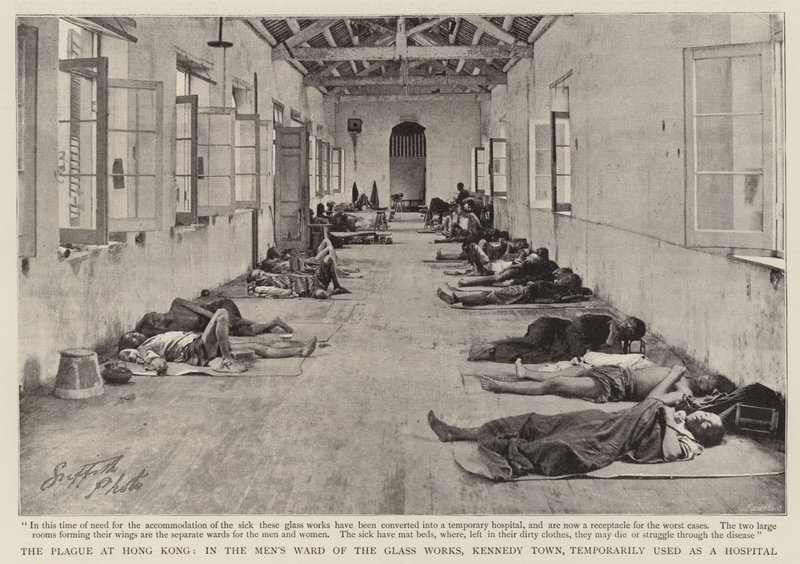A Praga em Hong Kong, na Enfermaria Mensal das Obras de Vidro, Kennedy Town, temporariamente usada como hospital de English Photographer