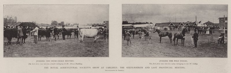 O Royal Agricultural Societys Show em Carlisle, o sexagésimo quarto e último encontro provincial de English Photographer