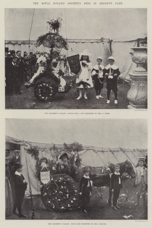 O Royal Botanic Societys Fete no Regents Park de English Photographer