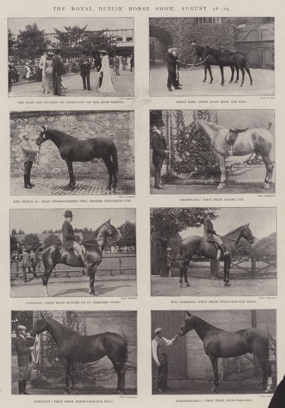 O Royal Dublin Horse Show, de 26 a 29 de agosto de English Photographer