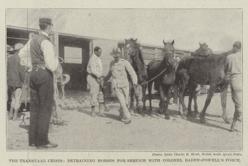 A Crise do Transvaal, destreinando Cavalos para Serviço com o Coronel Baden-Powells Force de English Photographer